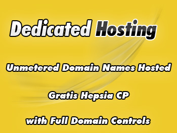 Cut-rate dedicated hosting server provider